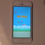 eBay拍卖装有Flappy Birdjrs直播看不了_极速体育nba直播在线_jrs直播nba乐虎 高达60万元