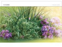 jrs直播看不了_极速体育nba直播在线_jrs直播nba乐虎拍摄图片首上邮资片 华为P30 Pro再创行业新记录