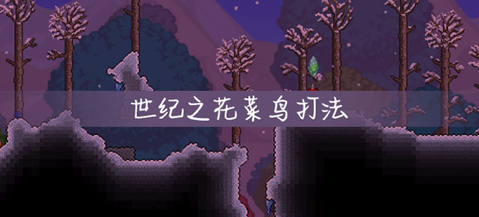 世纪之花菜鸟打法